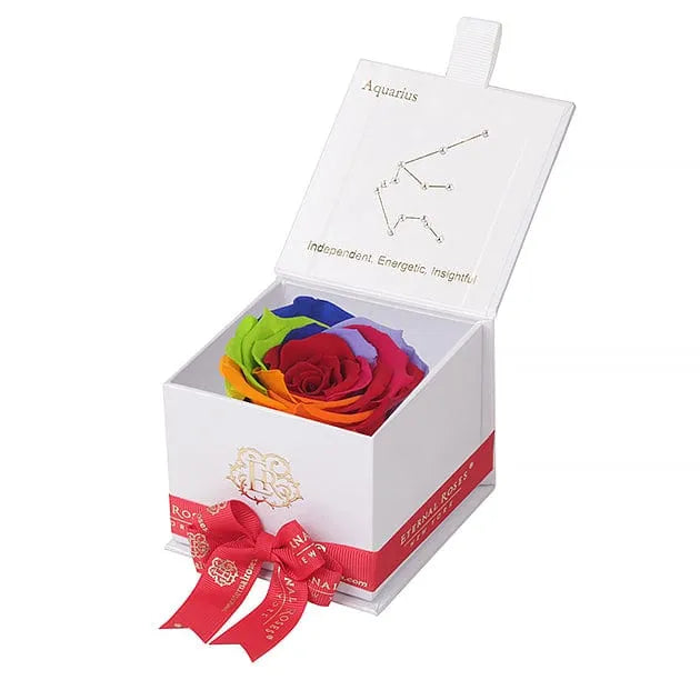Eternal Roses® Astor Gift Box Aquarius Astor White Gift Box in Rainbow ALL SIGNS