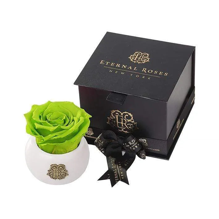 Eternal Roses® Centerpiece Mojito Mini Nobu Eternal Luxury Rose