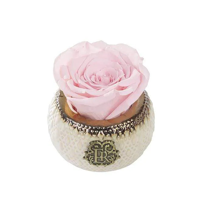 Eternal Roses® Centerpiece Blush Mini Soho Classic Eternal Forever Rose