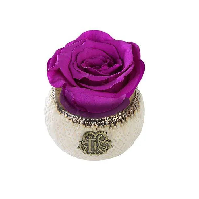 Eternal Roses® Centerpiece Orchid Mini Soho Classic Eternal Forever Rose