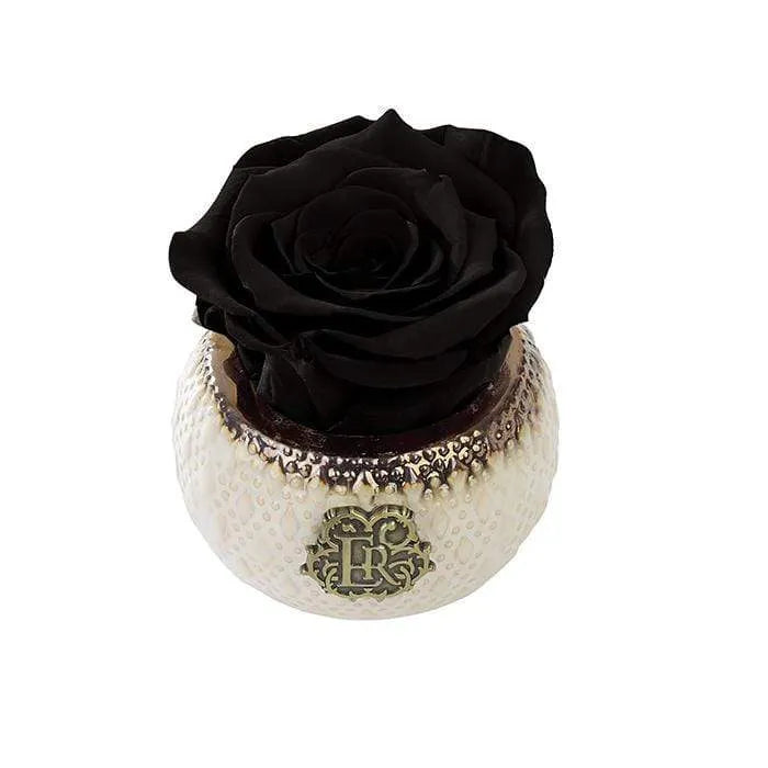 Eternal Roses® Centerpiece Midnight Mini Soho Classic Eternal Forever Rose