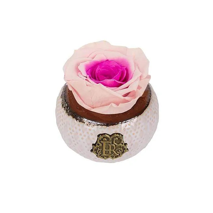 Eternal Roses® Centerpiece Mini Soho Classic Eternal Forever Rose