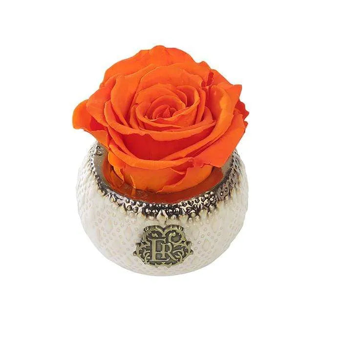 Eternal Roses® Centerpiece Sunset Mini Soho Classic Eternal Forever Rose