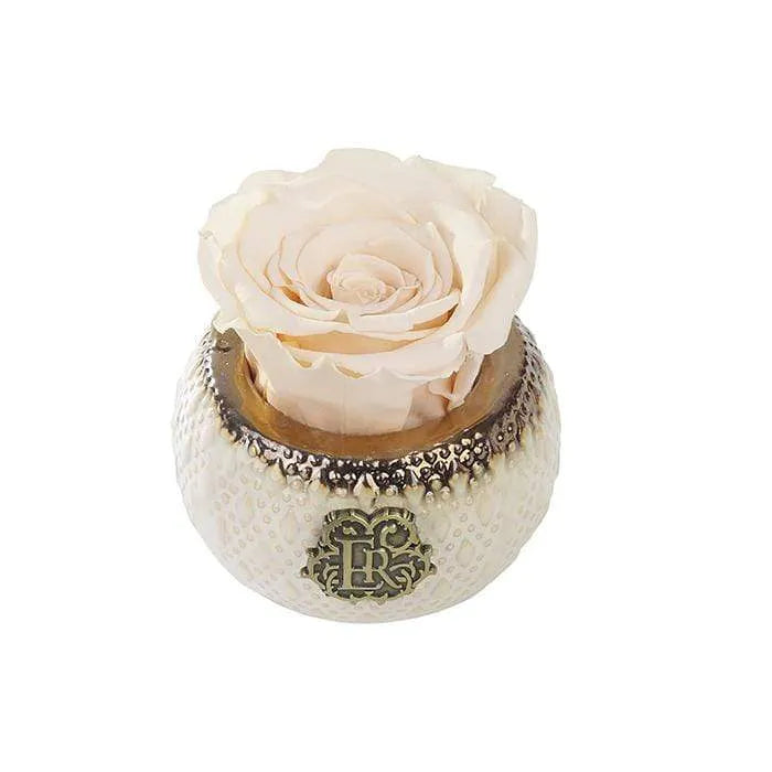 Eternal Roses® Centerpiece Champagne Mini Soho Classic Eternal Forever Rose