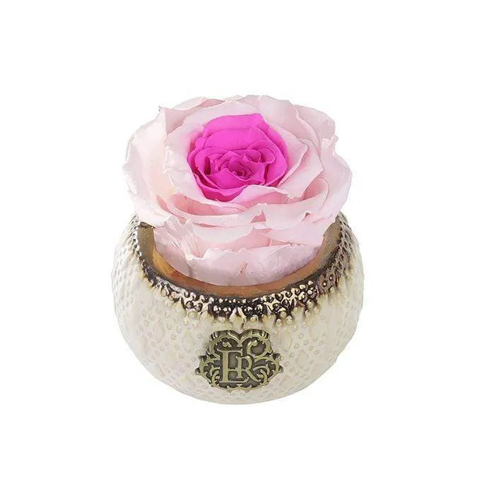 Eternal Roses® Centerpiece Mini Soho Classic Eternal Forever Rose