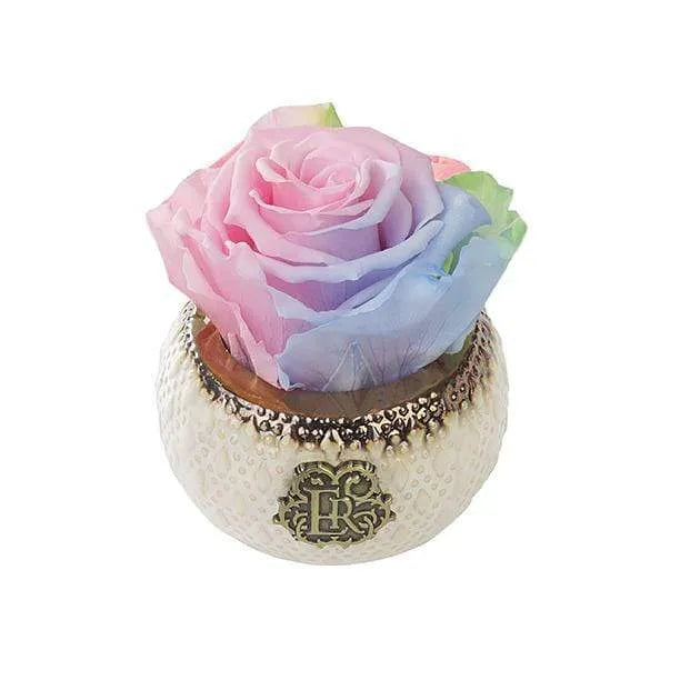 Eternal Roses® Centerpiece Aurora Mini Soho Classic Eternal Forever Rose