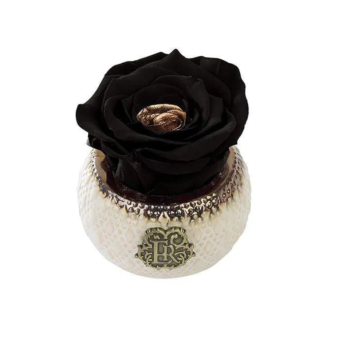 Eternal Roses® Centerpiece Starry Night Mini Soho Classic Eternal Forever Rose