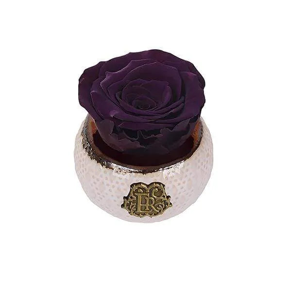 Eternal Roses® Centerpiece Plum Mini Soho Classic Eternal Forever Rose