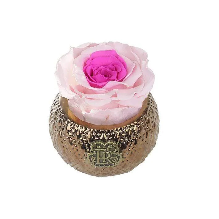 Eternal Roses® Centerpiece Mini Soho Royal Eternal Luxury Rose