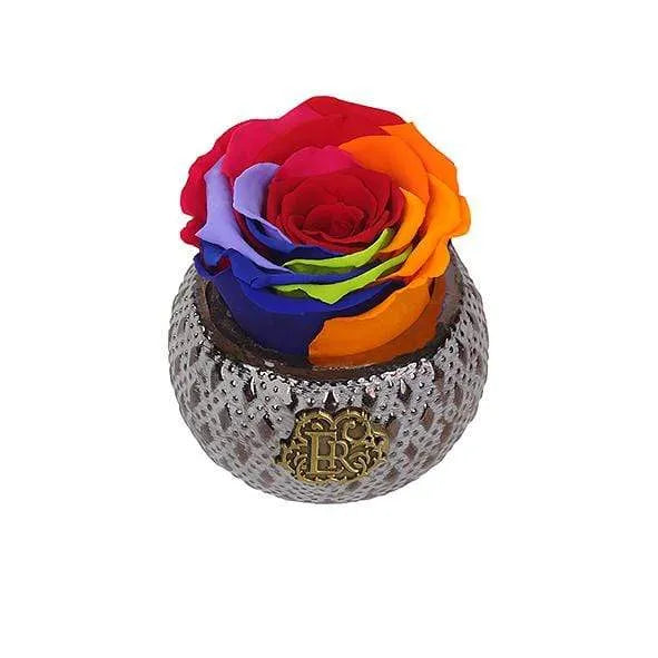 Eternal Roses® Centerpiece Rainbow Mini Soho Steel Eternal Luxury Rose
