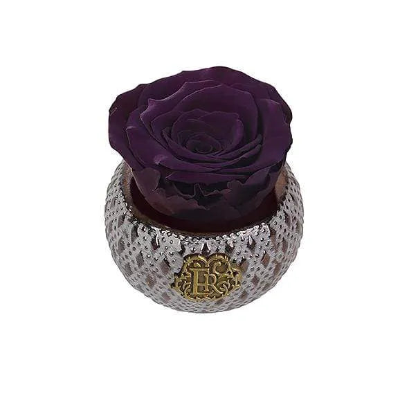 Eternal Roses® Centerpiece Plum Mini Soho Steel Eternal Luxury Rose