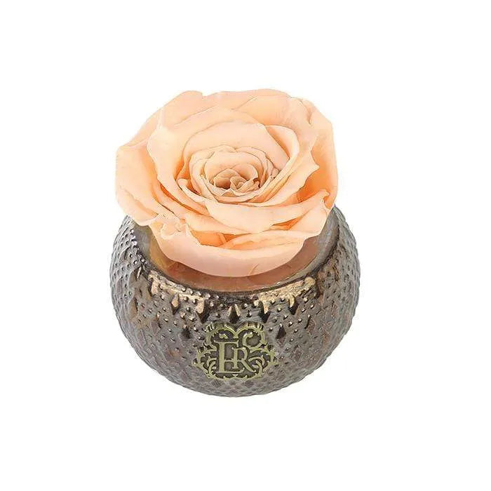 Eternal Roses® Centerpiece Apricot Mini Soho Steel Eternal Luxury Rose