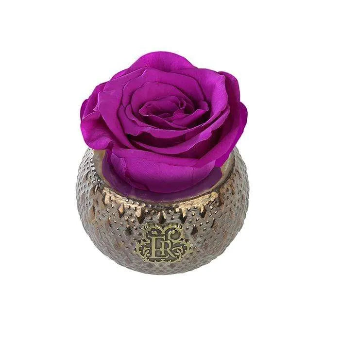 Eternal Roses® Centerpiece Orchid Mini Soho Steel Eternal Luxury Rose