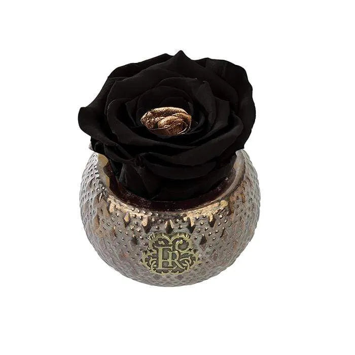 Eternal Roses® Centerpiece Starry Night Mini Soho Steel Eternal Luxury Rose