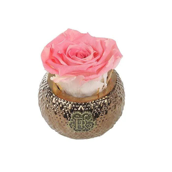 Eternal Roses® Centerpiece Amarylis Mini Soho Steel Eternal Luxury Rose