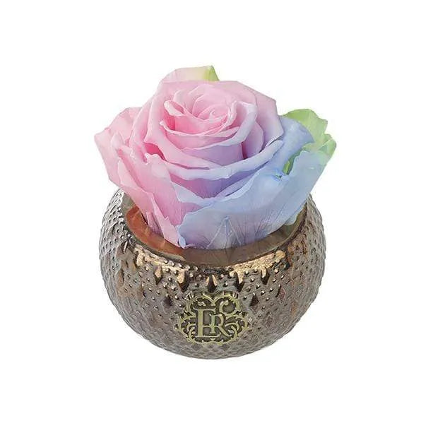 Eternal Roses® Centerpiece Aurora Mini Soho Steel Eternal Luxury Rose