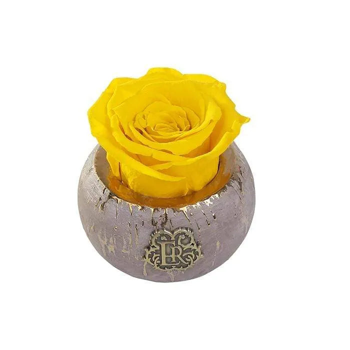 Eternal Roses® Centerpiece Friendship Yellow Mini Tiffany Eternal Luxury Rose
