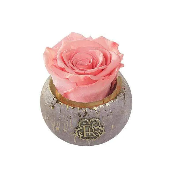 Eternal Roses® Centerpiece Amaryllis Mini Tiffany Eternal Luxury Rose
