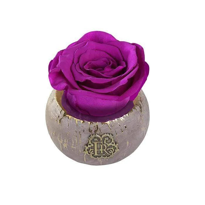 Eternal Roses® Centerpiece Orchid Mini Tiffany Eternal Luxury Rose