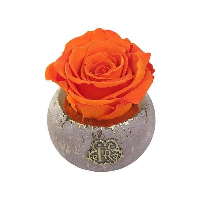 Eternal Roses® Centerpiece Sunset Mini Tiffany Eternal Luxury Rose