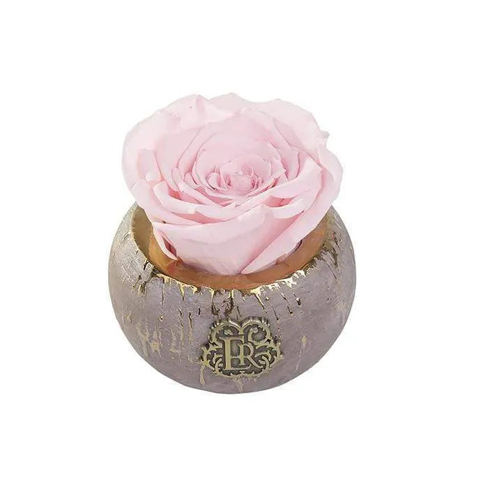 Eternal Roses® Centerpiece Blush Mini Tiffany Eternal Luxury Rose
