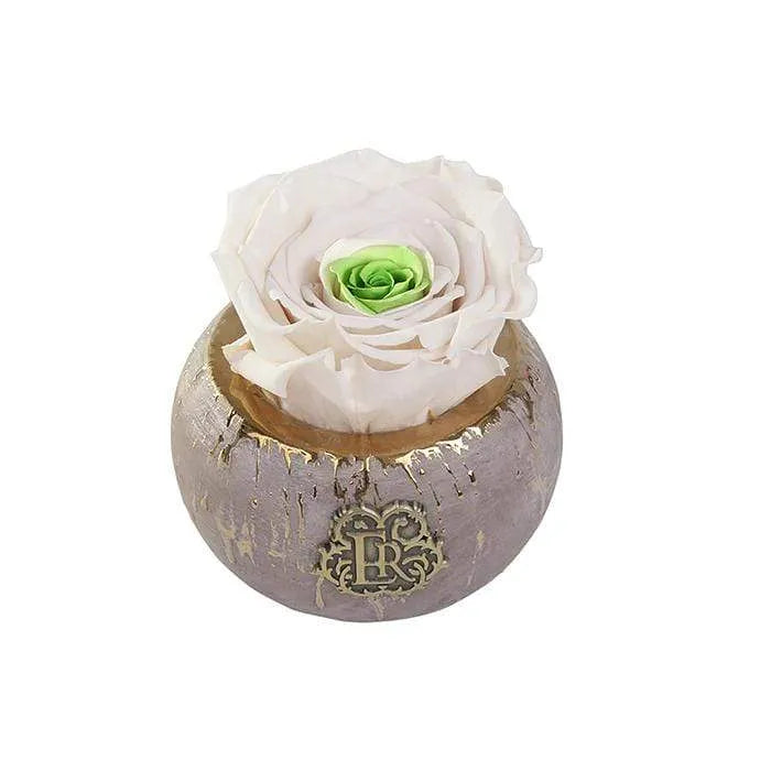 Eternal Roses® Centerpiece Chartreuse Mini Tiffany Eternal Luxury Rose