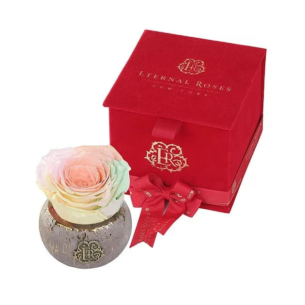Eternal Roses® Centerpiece Macaroon Tiffany Red Velvet Gift Box