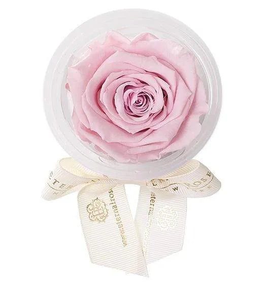 Eternal Roses® Blush Eternal Rose Party Favor