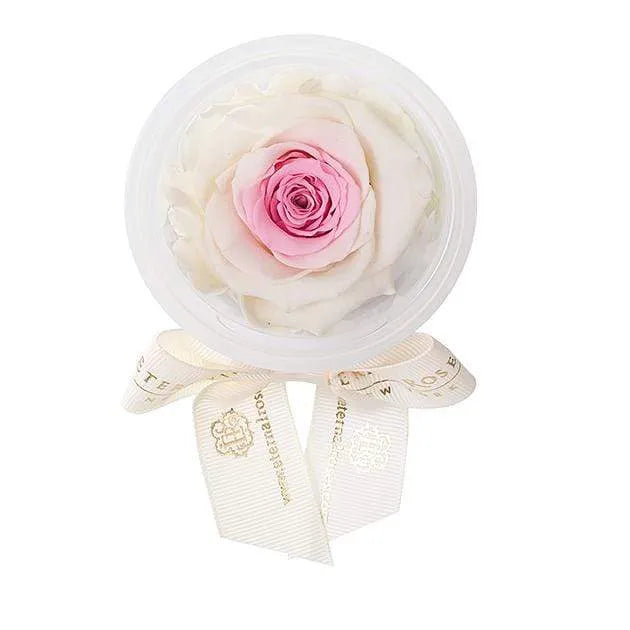 Eternal Roses® Peony Eternal Rose Party Favor