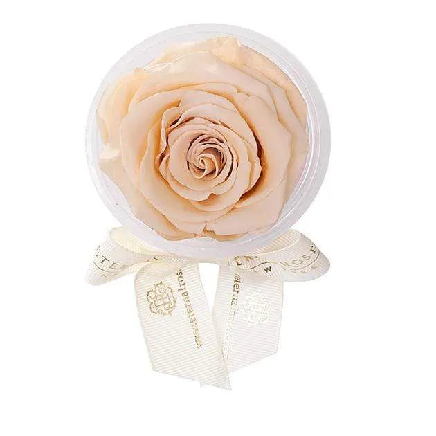 Eternal Roses® Apricot Eternal Rose Party Favor