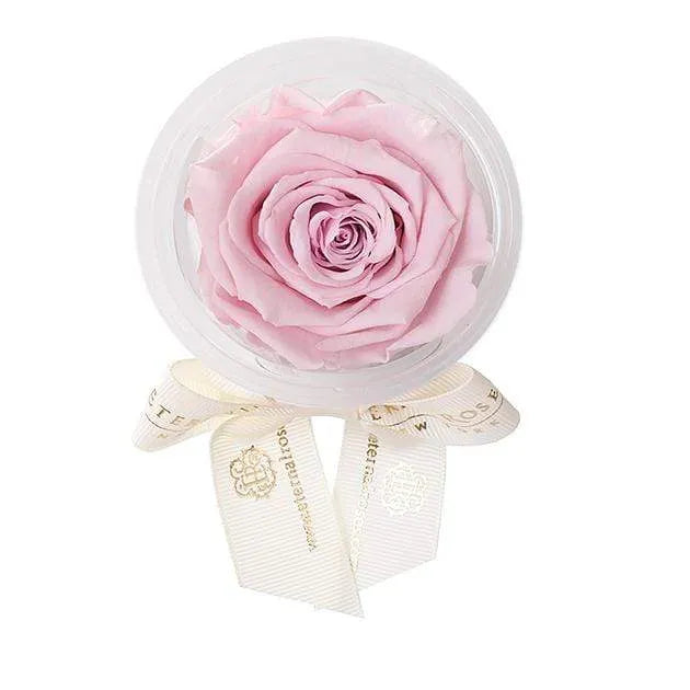 Eternal Roses® Eternal Rose Party Favor