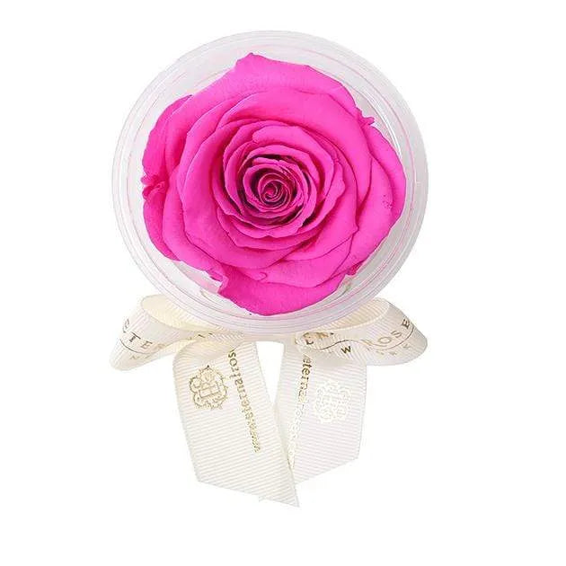 Eternal Roses® Hot Pink Eternal Rose Party Favor