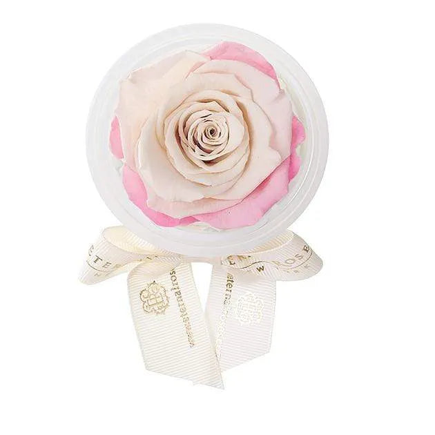 Eternal Roses® Sweet Pink Eternal Rose Party Favor