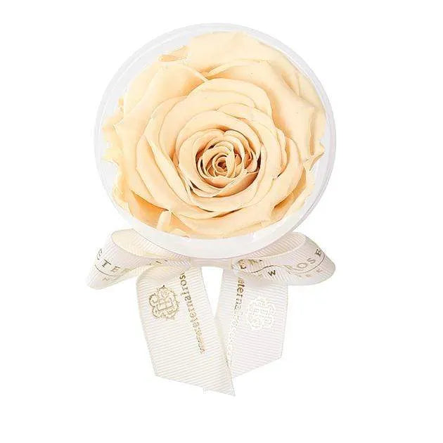 Eternal Roses® Champagne Eternal Rose Party Favor