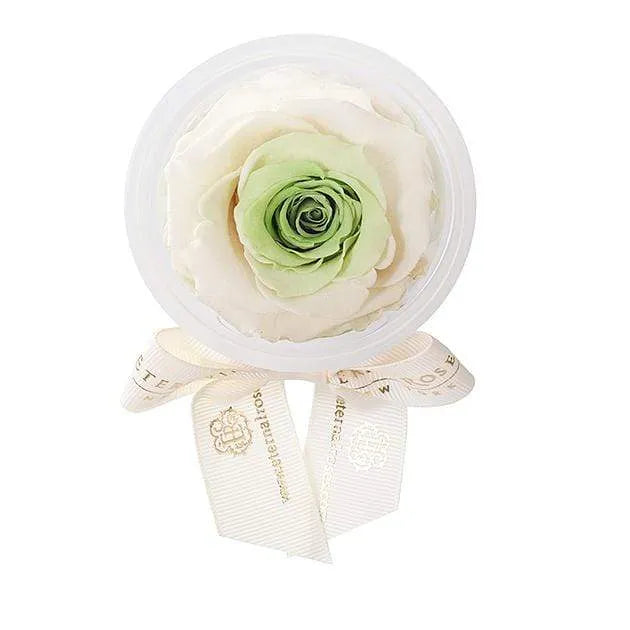 Eternal Roses® Chartreuse Eternal Rose Party Favor