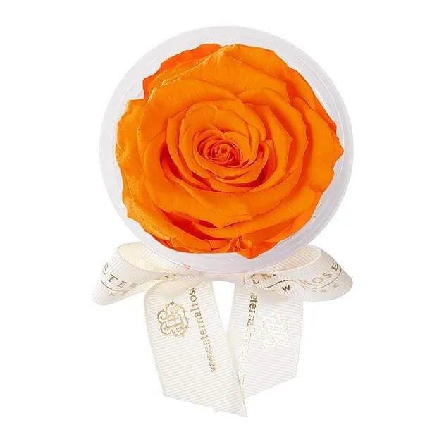 Eternal Roses® Sunset Eternal Rose Party Favor