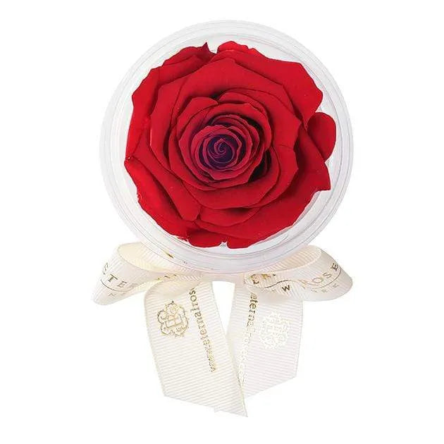 Eternal Roses® Scarlet Eternal Rose Party Favor