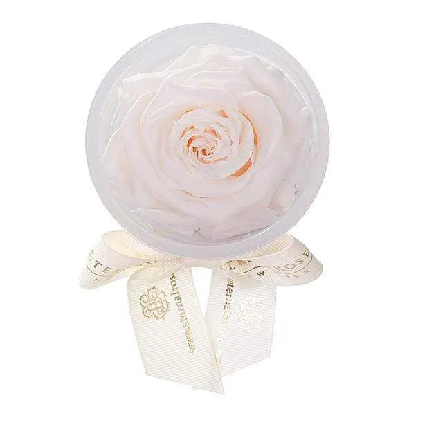 Eternal Roses® Mimosa Eternal Rose Party Favor