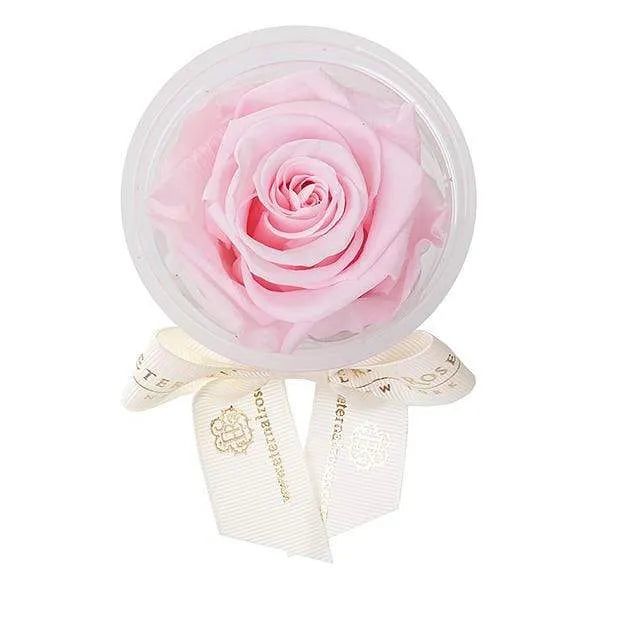 Pretty Eternal Roses Beautiful & Affordable Eternal Roses On Sale - Shop Now – Eternal Roses®
