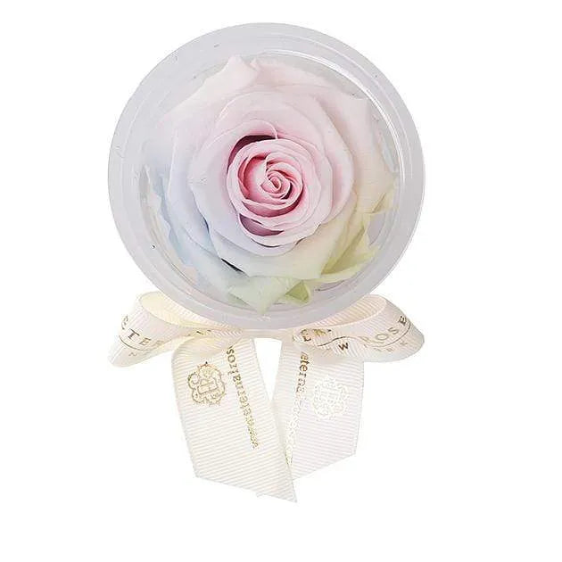 Eternal Roses® Aurora Eternal Rose Party Favor