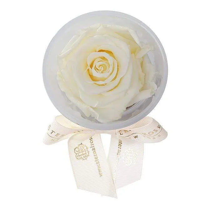 Eternal Roses® Favor Eternal Rose Party Favor