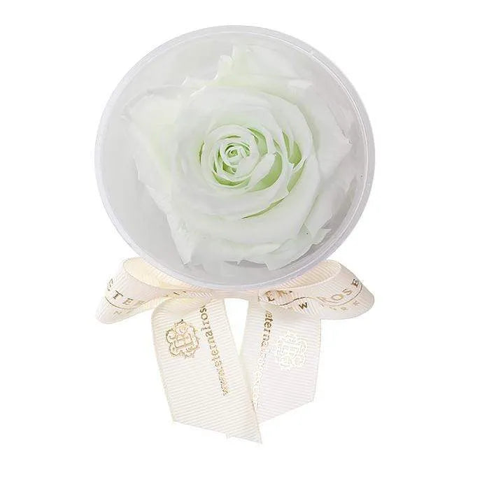 Eternal Roses® Favor Mint Eternal Rose Party Favor