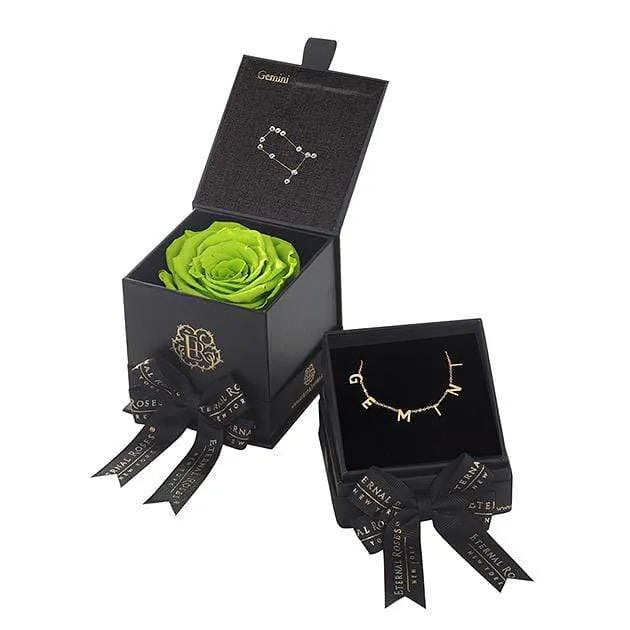 Eternal Roses® Mojito Gemini Astor Box & Necklace Bundle