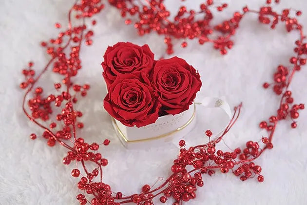 Eternal Roses® Gift Box Mini Chelsea Gift Box | Heart Shaped