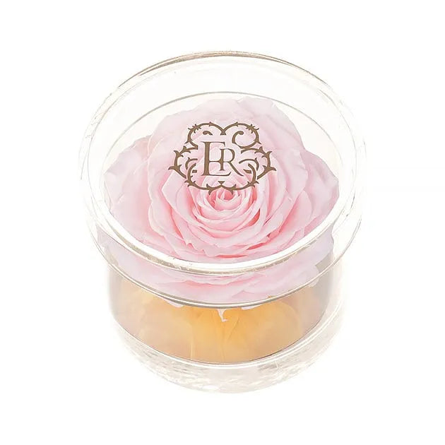 Eternal Roses® Pink Martini Madison Round Acrylic Gift Box