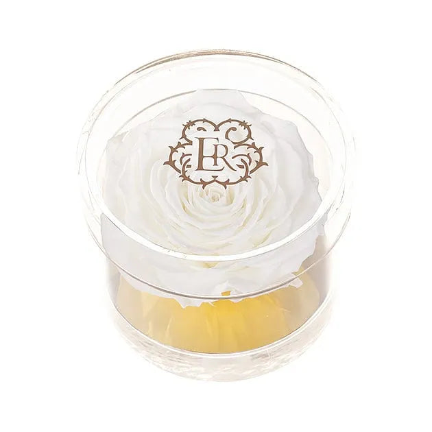 Eternal Roses® Frost Madison Round Acrylic Gift Box