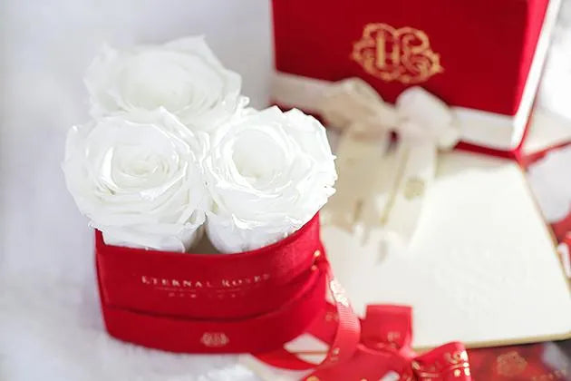 Eternal Roses® Mini Chelsea Red Velvet Gift Box - Perfect Valentine Gift