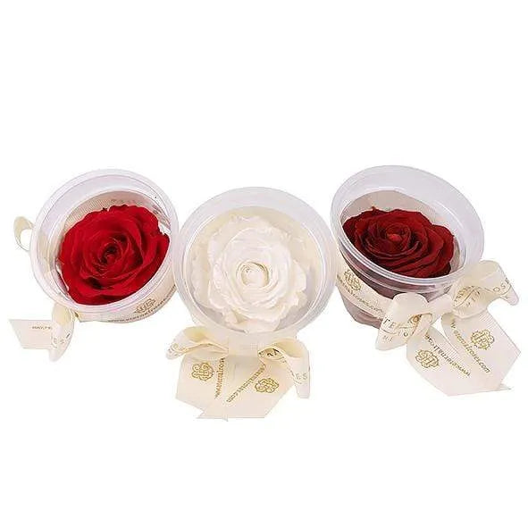 Eternal Roses Menu Buy Party Favors & Flower Decoration Accessories – Eternal Roses®