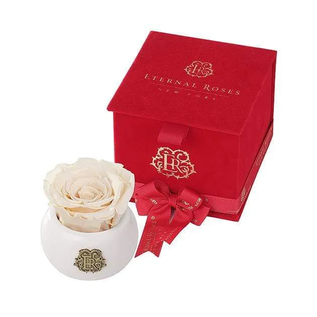 Eternal Roses® Champagne Nobu Red Velvet Gift Box