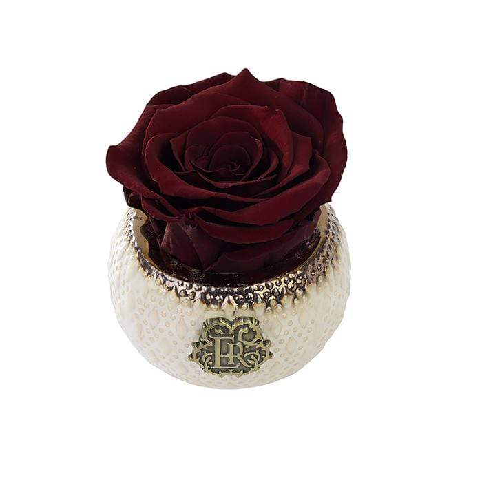 Eternal Roses® Centerpiece Wineberry Mini Soho Classic Eternal Forever Rose